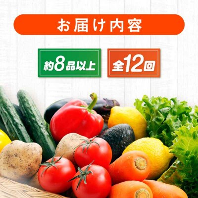 【全12回定期便】産地直送!鮮度抜群!旬の産直市お任せセット(8種以上)[AGAP011]