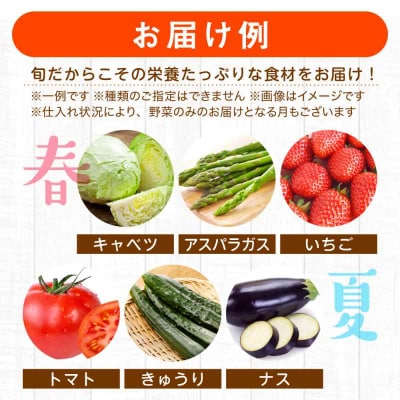 【全6回定期便】産地直送!鮮度抜群!旬の産直市お任せセット(6種以上)[AGAP016]
