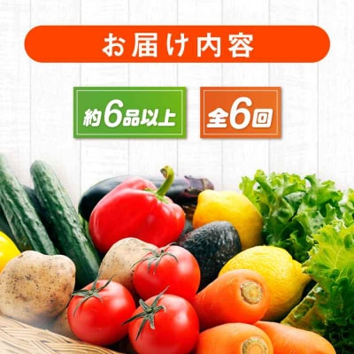 【全6回定期便】産地直送!鮮度抜群!旬の産直市お任せセット(6種以上)[AGAP016]