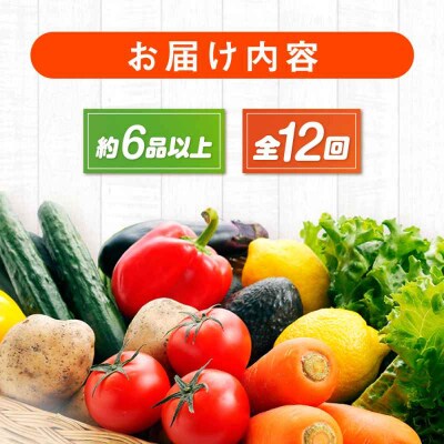 【全12回定期便】産地直送!鮮度抜群!旬の産直市お任せセット(6種以上)[AGAP017]