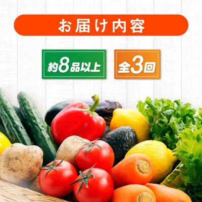【全3回定期便】産地直送!鮮度抜群!旬の産直市お任せセット(8種以上)[AGAP018]
