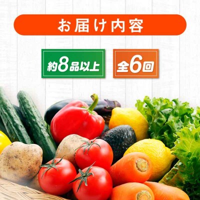 【全6回定期便】産地直送!鮮度抜群!旬の産直市お任せセット(8種以上)[AGAP019]