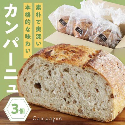  【冷凍】カンパーニュ3種セット (プレーン・いちじく・五穀) [AGAY050]