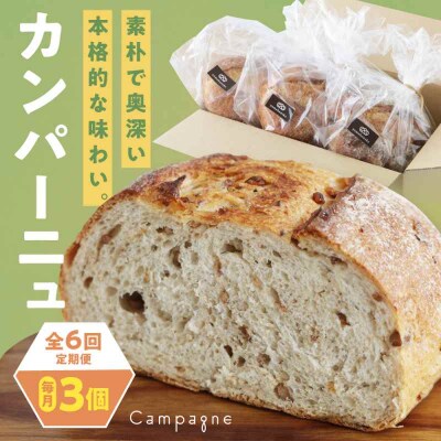 【全6回定期便】【冷凍】カンパーニュ3種セット (プレーン・いちじく・五穀) [AGAY052]