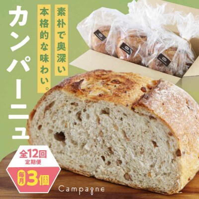 【全12回定期便】【冷凍】カンパーニュ3種セット (プレーン・いちじく・五穀) [AGAY053]
