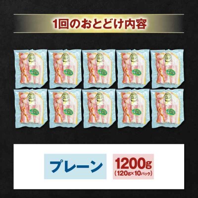 【全12回定期便】ブランド豚『オズの箱入り娘』 厚切りベーコンスライス×10ケ [AGAZ033]