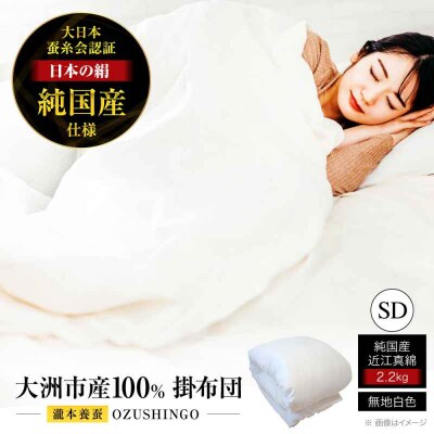 純国産近江真綿(国産シルク)正絹側生地OZUSHINGO セミダブルサイズ [AGBE008]