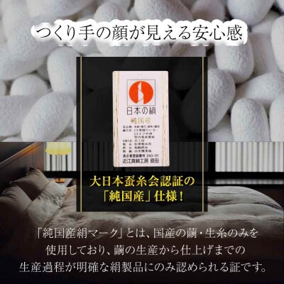 純国産近江真綿(国産シルク)正絹側生地OZUSHINGO ダブルサイズ [AGBE009]