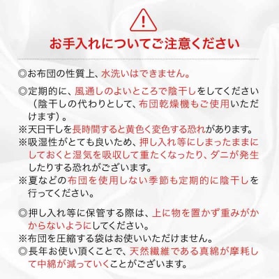 純国産近江真綿(国産シルク)正絹側生地OZUSHINGO ダブルサイズ [AGBE009]
