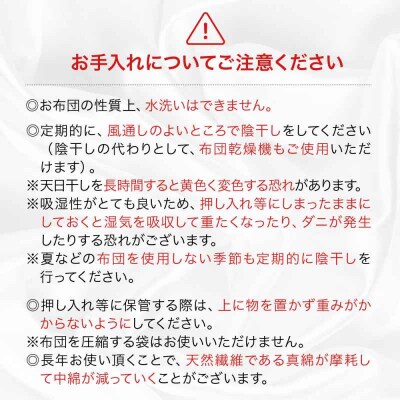 純国産近江真綿(国産シルク)正絹側生地OZUSHINGO キングサイズ [AGBE011]