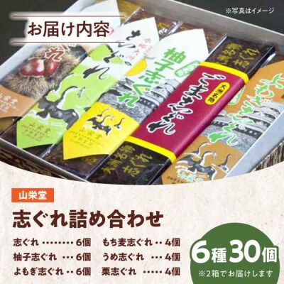 大洲の旬を感じる!山栄堂の志ぐれ詰め合わせBセット(2箱) [AGBM023]
