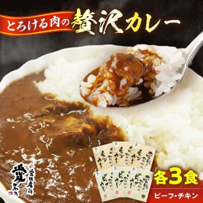愛媛県産のお肉を贅沢に使用!ご当地カレー!ビーフカレー&チキンカレーセット [AGBM034]