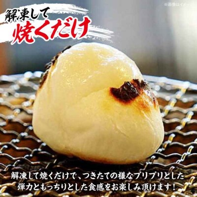 【冷凍】なめらかで米のうまみが強い!厳選素材の杵つき餅 10個×4袋セット [AGBM036]