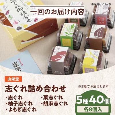 【全6回定期便】大洲の旬を感じる!山栄堂の志ぐれ詰め合わせAセット(2箱) [AGBM054]