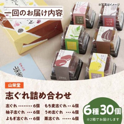 【全6回定期便】大洲の旬を感じる!山栄堂の志ぐれ詰め合わせBセット(2箱) [AGBM060]
