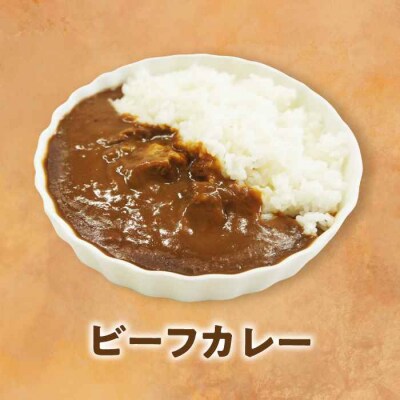 【全6回定期便】ご当地カレー!ビーフカレー&チキンカレーセット [AGBM072]