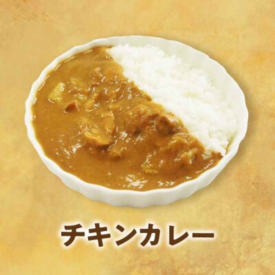 【全6回定期便】ご当地カレー!ビーフカレー&チキンカレーセット [AGBM072]