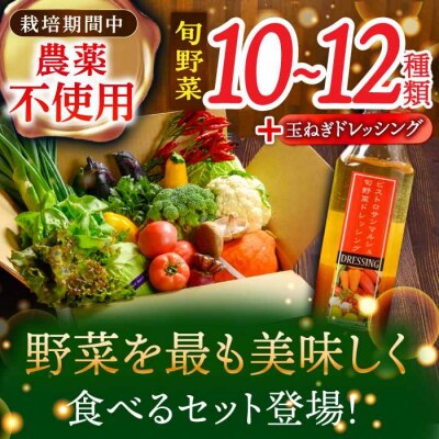 栽培期間中農薬不使用!旬のお野菜セット×手作り玉ねぎドレッシング(1本) [AGBX001]