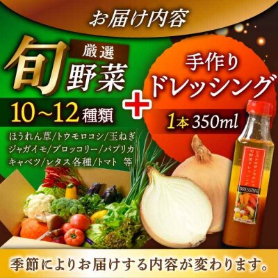 栽培期間中農薬不使用!旬のお野菜セット×手作り玉ねぎドレッシング(1本) [AGBX001]