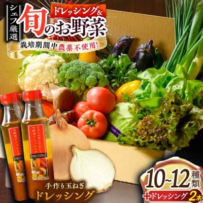 栽培期間中農薬不使用!旬のお野菜セット×手作り玉ねぎドレッシング(2本) [AGBX002]