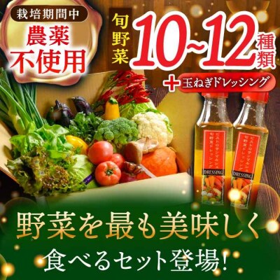 栽培期間中農薬不使用!旬のお野菜セット×手作り玉ねぎドレッシング(2本) [AGBX002]