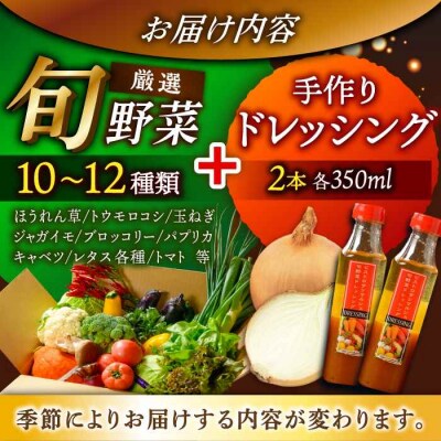 栽培期間中農薬不使用!旬のお野菜セット×手作り玉ねぎドレッシング(2本) [AGBX002]