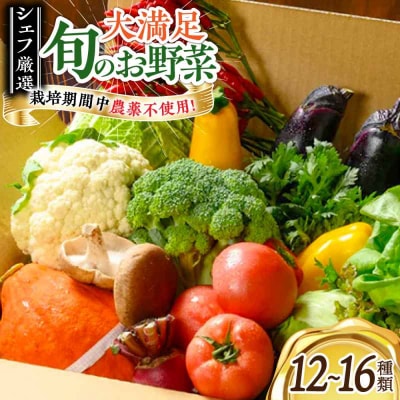 栽培期間中農薬不使用!大満足 旬のお野菜セット [AGBX003]
