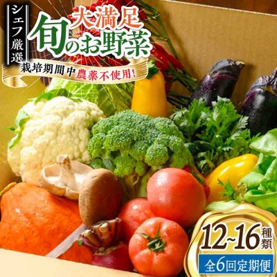 【全6回定期便】栽培期間中農薬不使用!大満足 旬のお野菜セット [AGBX004]