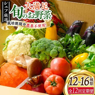 【全12回定期便】栽培期間中農薬不使用!大満足 旬のお野菜セット [AGBX005]