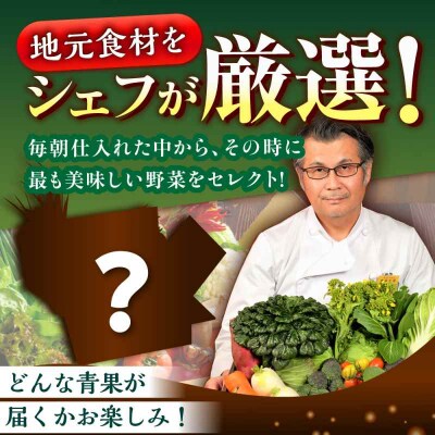 【全12回定期便】栽培期間中農薬不使用!大満足 旬のお野菜セット [AGBX005]