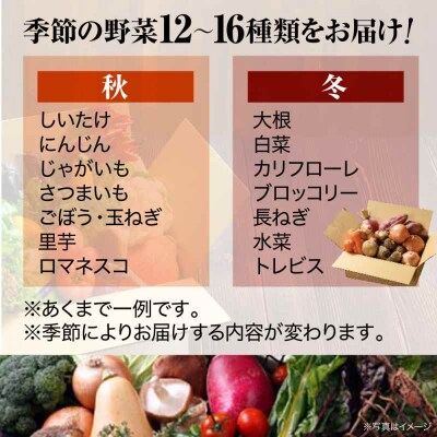 【全12回定期便】栽培期間中農薬不使用!大満足 旬のお野菜セット [AGBX005]