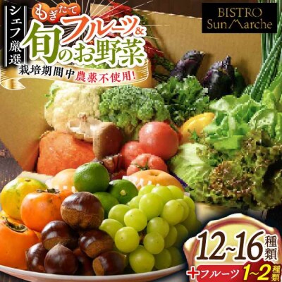 栽培期間中農薬不使用! 旬のお野菜セット×もぎたてフルーツセット [AGBX006]