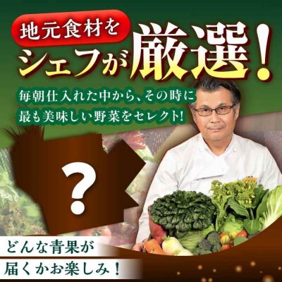 栽培期間中農薬不使用! 旬のお野菜セット×もぎたてフルーツセット [AGBX006]