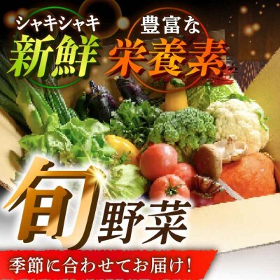 栽培期間中農薬不使用! 旬のお野菜セット×もぎたてフルーツセット [AGBX006]