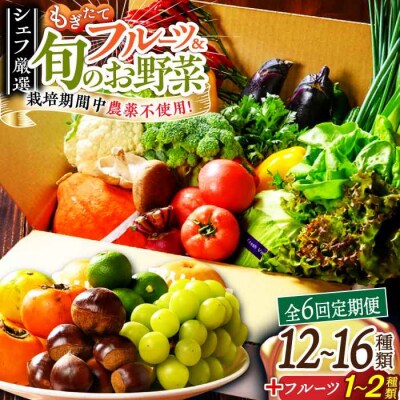 【全6回定期便】栽培期間中農薬不使用!旬のお野菜セット×もぎたてフルーツセット [AGBX007]