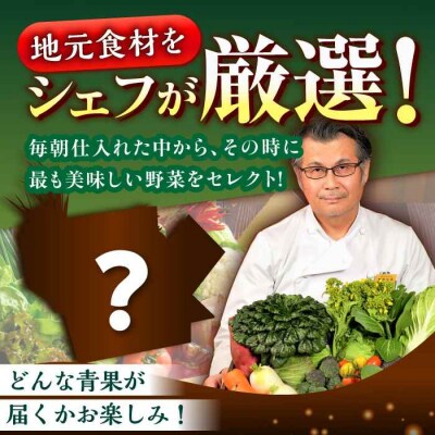 【全6回定期便】栽培期間中農薬不使用!旬のお野菜セット×もぎたてフルーツセット [AGBX007]