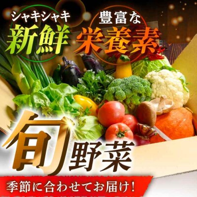 【全6回定期便】栽培期間中農薬不使用!旬のお野菜セット×もぎたてフルーツセット [AGBX007]