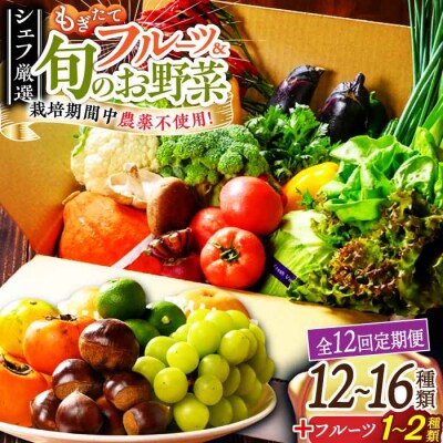 【全12回定期便】栽培期間中農薬不使用!旬のお野菜セット×もぎたてフルーツセット [AGBX008]