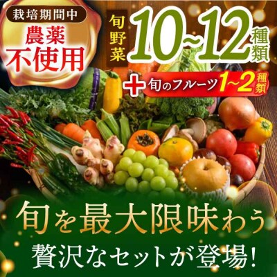 【全12回定期便】栽培期間中農薬不使用!旬のお野菜セット×もぎたてフルーツセット [AGBX008]