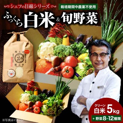 栽培期間中農薬不使用!旬のお野菜セット+クリーン白米【ふるさと納税限定】 [AGBX009]