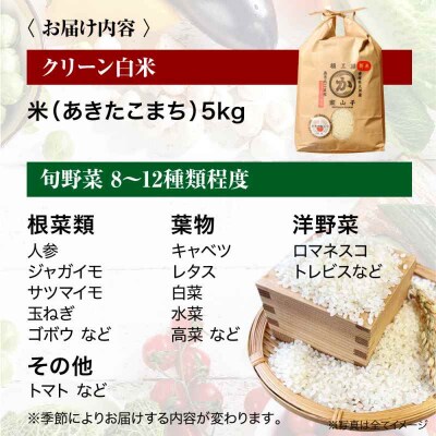 栽培期間中農薬不使用!旬のお野菜セット+クリーン白米【ふるさと納税限定】 [AGBX009]