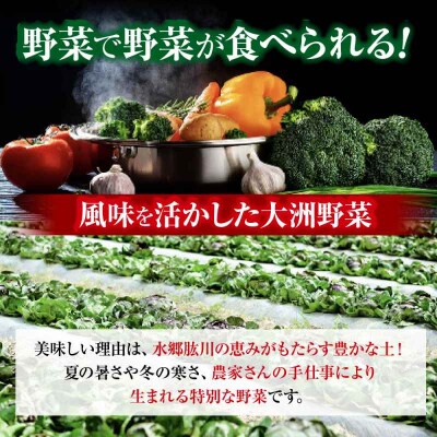 栽培期間中農薬不使用!旬のお野菜セット+クリーン白米【ふるさと納税限定】 [AGBX009]