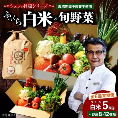 【全6回定期便】旬のお野菜セット+クリーン白米【ふるさと納税限定】 [AGBX010]