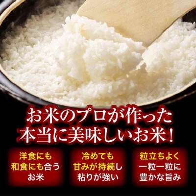 【全12回定期便】!旬のお野菜セット×クリーン白米【ふるさと納税限定】 [AGBX011]