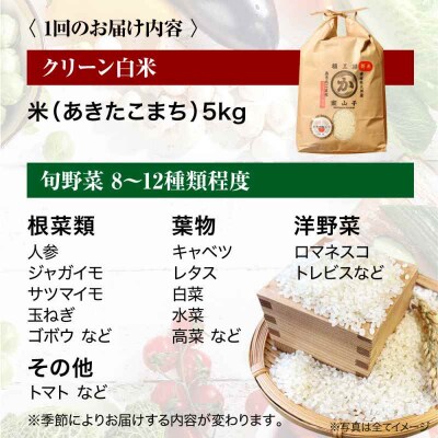 【全12回定期便】!旬のお野菜セット×クリーン白米【ふるさと納税限定】 [AGBX011]