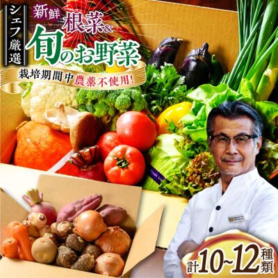 あったら嬉しい根菜セット♪+おまかせ旬野菜 [AGBX012]