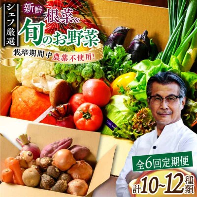 【全6回定期便】あったら嬉しい根菜セット♪+おまかせ旬野菜 [AGBX013]