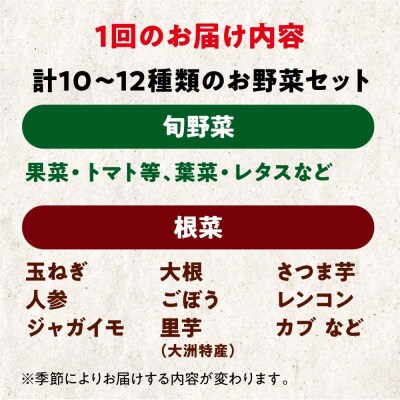 【全6回定期便】あったら嬉しい根菜セット♪+おまかせ旬野菜 [AGBX013]