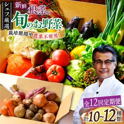 【全12回定期便】あったら嬉しい根菜セット♪+おまかせ旬野菜 [AGBX014]