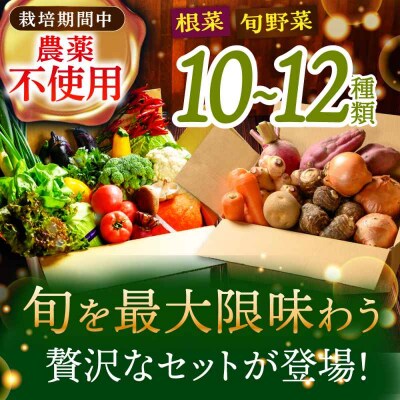 【全12回定期便】あったら嬉しい根菜セット♪+おまかせ旬野菜 [AGBX014]